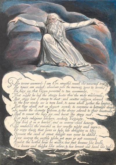 America. Una Profezia, Tavola 10, Il Terrore Rispose... da William Blake