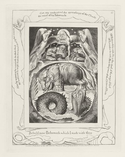 Ecco ora Behemoth che ho fatto con te da William Blake