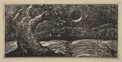 Alberi Devastati e Colture Appiattite, da Le Pastorali di Virgilio di Thornton, 1821 da William Blake