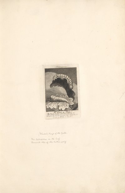 Per i sessi - Le porte del paradiso, Tavola 1, Pagina del titolo da William Blake