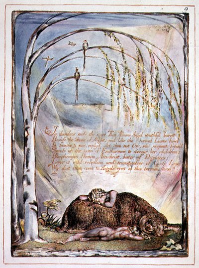 "In tuoni finisce la voce", tavola 7 da 