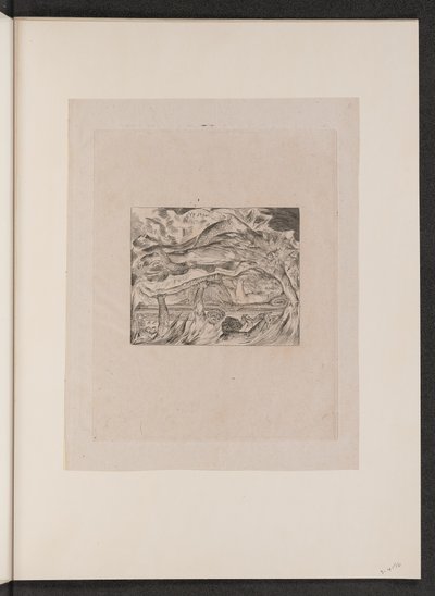 I Sogni Malvagi di Giobbe da William Blake