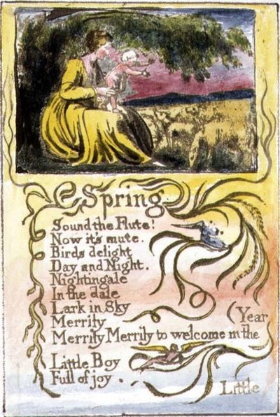 Primavera: tavola 22 da 