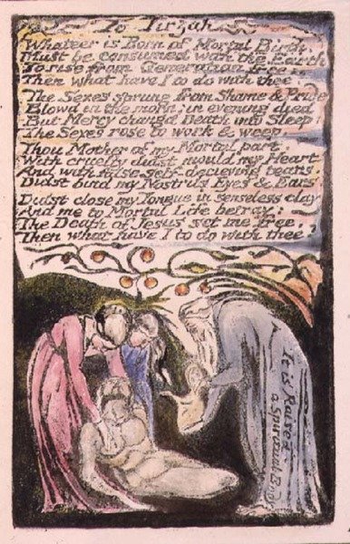 A Tirzah: tavola 51 da 