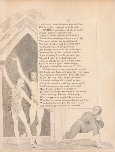 Tavola 33 (pagina 72): 