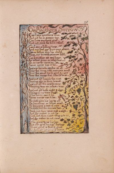 Canzoni dell