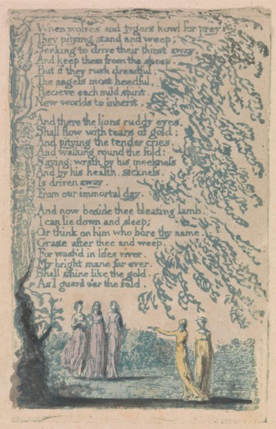 Canzoni dell