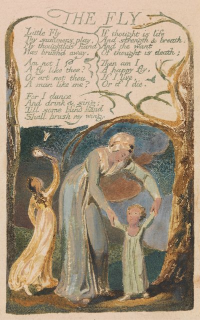 Canzoni dell