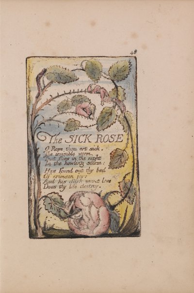 Canzoni dell
