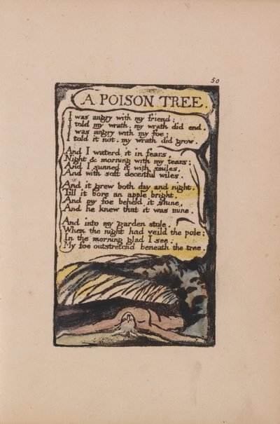 Canzoni dell