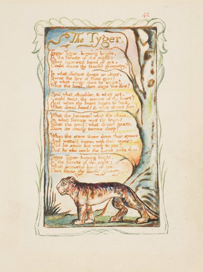 Canzoni dell