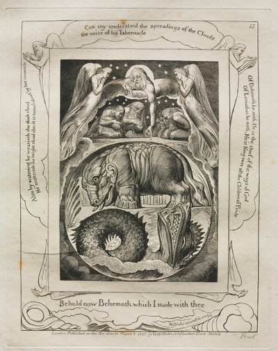Il Libro di Giobbe: Tav. 15, Ecco ora Behemoth che ho fatto con te da William Blake