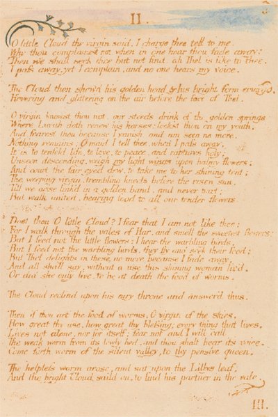 Il Libro di Thel, Tavola 5, II., O piccola Nuvola... da William Blake