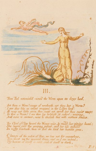 Il Libro di Thel, Tavola 6, III., Allora Thel stupita... da William Blake