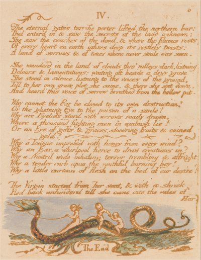Il Libro di Thel, Tavola 8, IV da William Blake
