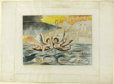 Il Cerchio dei Funzionari Corrotti; i Diavoli che si Azzuffano. Inferno, canto XXII. da William Blake