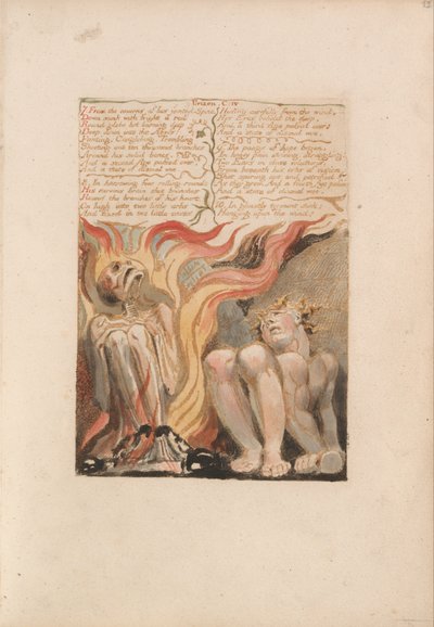 Il primo libro di Urizen, Tavola 14, 7. Dalle caverne della sua spina dorsale articolata... (Bentley 11) da William Blake