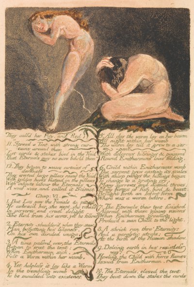 Il primo libro di Urizen, Tavola 17, La chiamavano Pietà e fuggirono... (Bentley 19) da William Blake