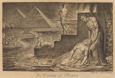 Il Nascondiglio di Mosè da William Blake