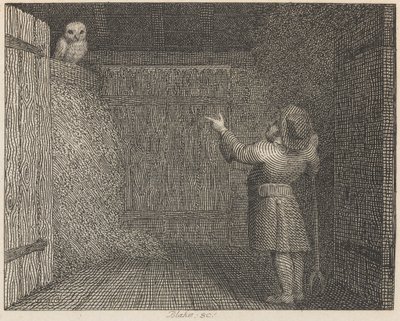 Il gufo e il contadino da William Blake
