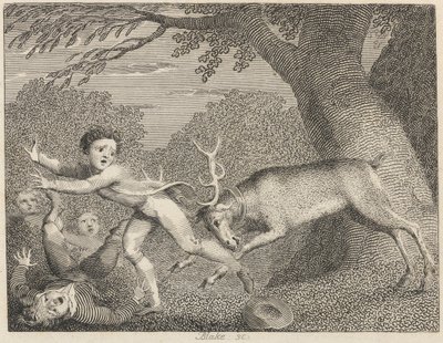 Il cervo domato da William Blake