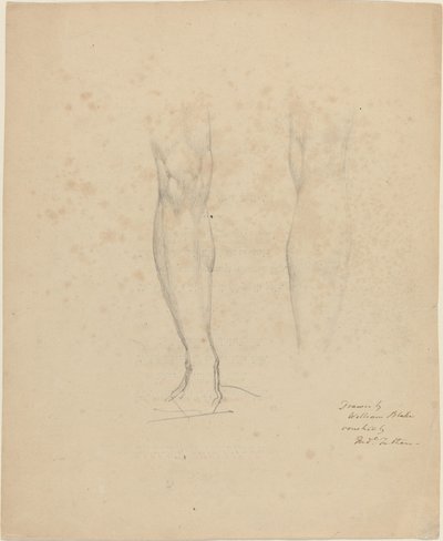 Due Gambe da William Blake