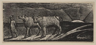 Giovenche Non Addomesticate, Tornando a Casa (da Pastorali di Virgilio di Thornton) da William Blake