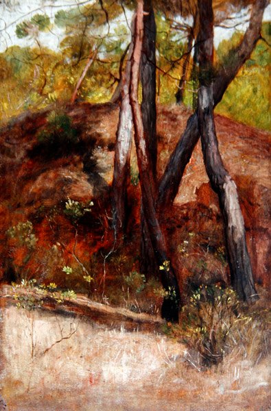 Alberi a Bocca d