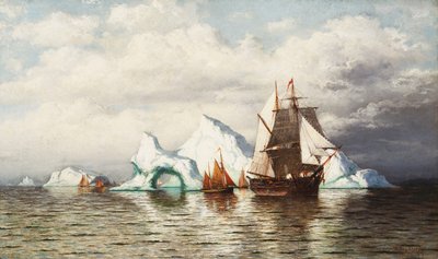 Tra gli iceberg, costa del Labrador da William Bradford