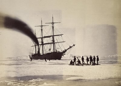 Caccia a vapore nella baia di Melville da William Bradford