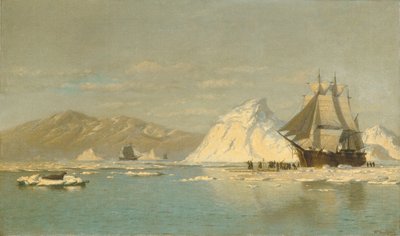  da William Bradford