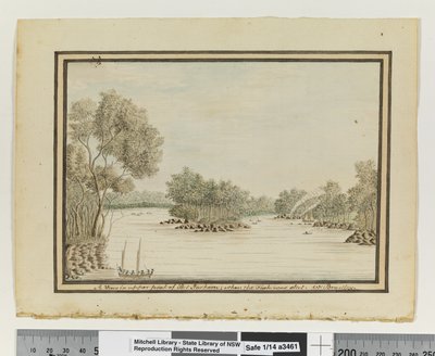 Vista nella parte superiore di Port Jackson; quando il pesce è stato catturato, c.1802 da William Bradley