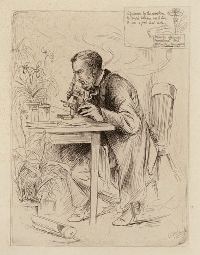 Alexander Dickson, Professore di Botanica (incisione) da William Brassey (after) Hole