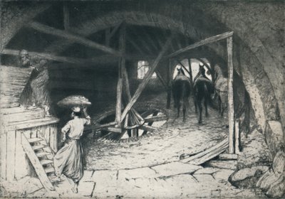 Un mulino a farina galileo da William Brassey Hole