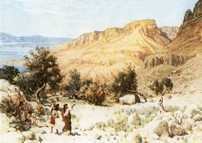 Il campo di Davide a Engedi da William Brassey Hole