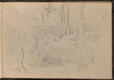 Schizzo di un Gruppo di Alberi da William Brockedon