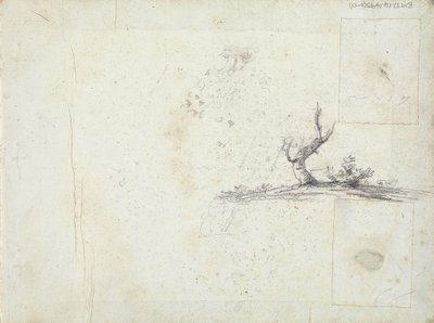 copertina interna anteriore: Schizzo di un albero (invertito) da William Brockedon