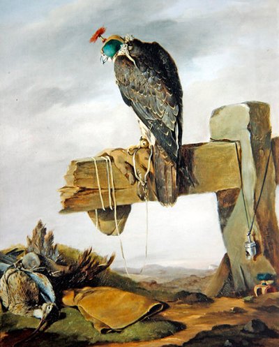 Un falco pellegrino con cappuccio con un chiurlo a terra da William Brodrick