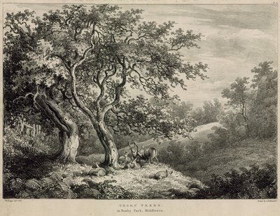 Alberi di Spina nel Bushy Park, Middlesex da William Burges