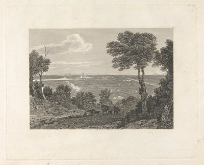 Vista lontana di Chester da William Byrne