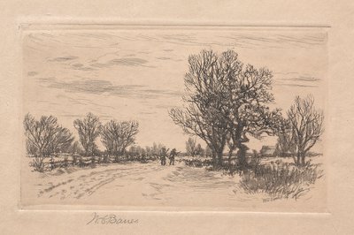Paesaggio da William C. Bauer