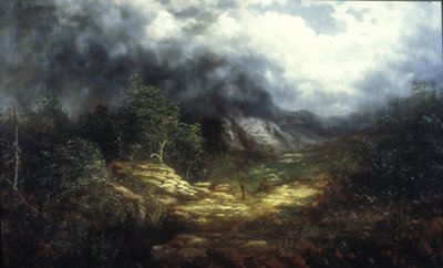 Tempesta sui Blue Ridge da William Charles Anthony Frerichs