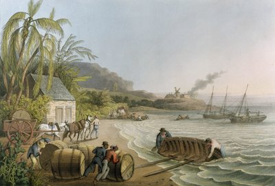Caricamento e imbarco delle botti di zucchero, tavola X da 