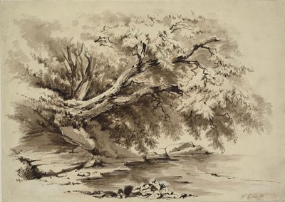 Paesaggio con alberi che sovrastano un lago da William Collingwood Smith