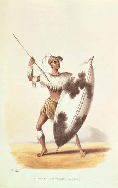 Lingap, un guerriero Matabili, illustrazione da 