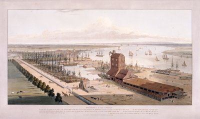 Brunswick Dock e East India Dock, Poplar, Londra, 1803 da William Daniell