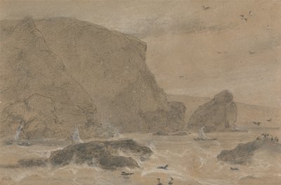 Roccia del finocchio marino, St. Agnes, Cornovaglia da William Daniell