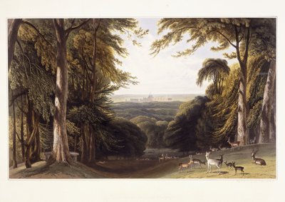 Castello di Windsor dal parco dei cervi, c.1827-1829 da William Daniell