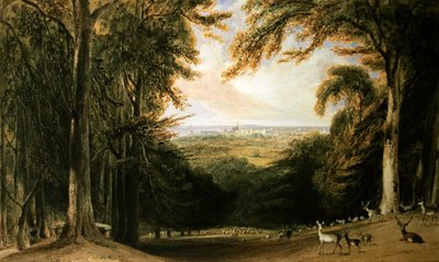 Paesaggio boscoso, Windsor da William Daniell