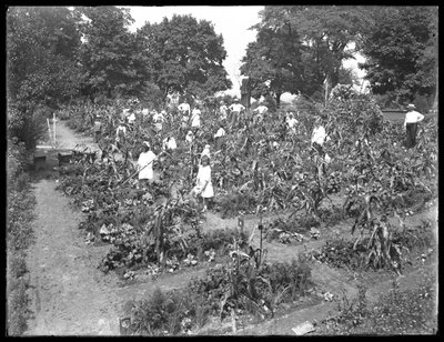 Bambini che lavorano nel giardino della scuola di Isham Park, New York City, 16 agosto 1915 da William Davis Hassler